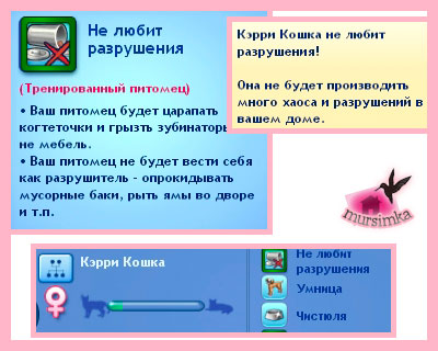 Домашние питомцы: кошки Домашние питомцы: кошки