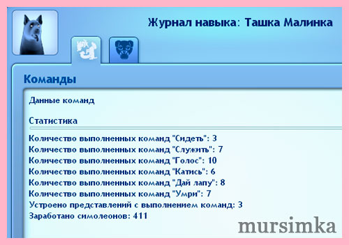 Домашние питомцы: собаки Домашние питомцы: собаки