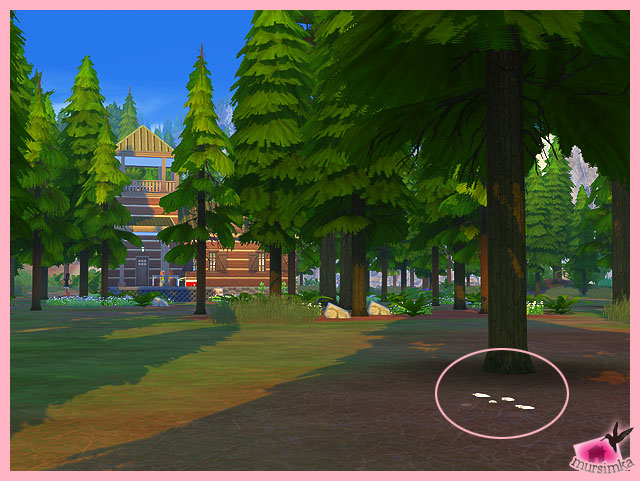 Коллекционирование в The Sims 4