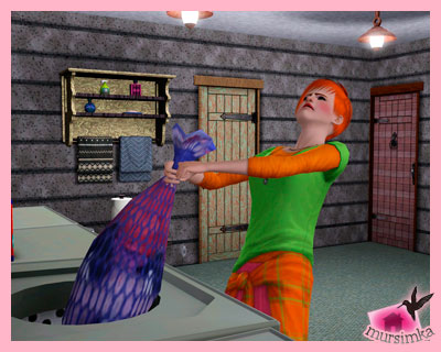 Стирка и уборка в The Sims 3